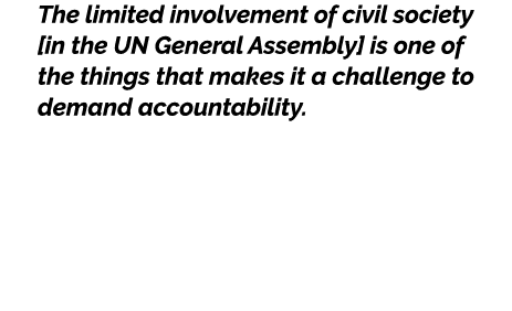 The limited involvement of civil society [in the UN General Assembly] is one of the things that makes it a challenge ...