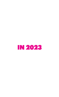 CSOs advocating with governments, donors and the private sector 23 organisations in 2023