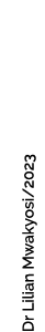 Dr Lilian Mwakyosi/2023
