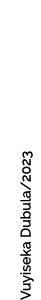 Vuyiseka Dubula/2023