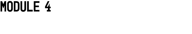 MODULE 4 
