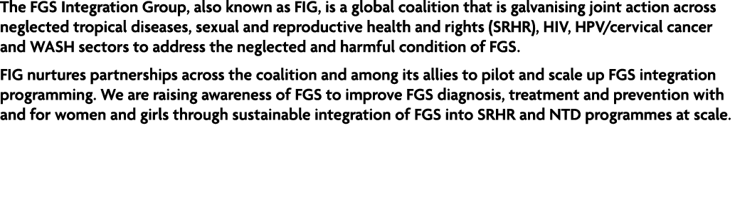 The FGS Integration Group, also known as FIG, is a global coalition that is galvanising joint action across neglected...