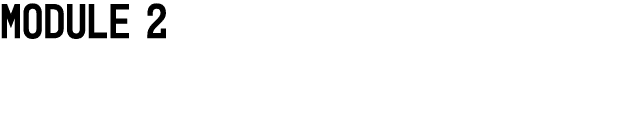 MODULE 2 