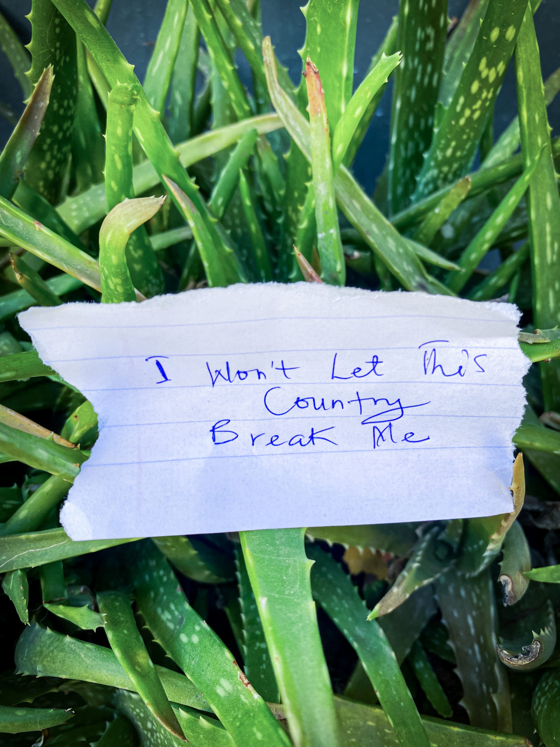 A note on a torn piece of lined paper resting on a plant with green fronds reads: "I won't let this country break me"