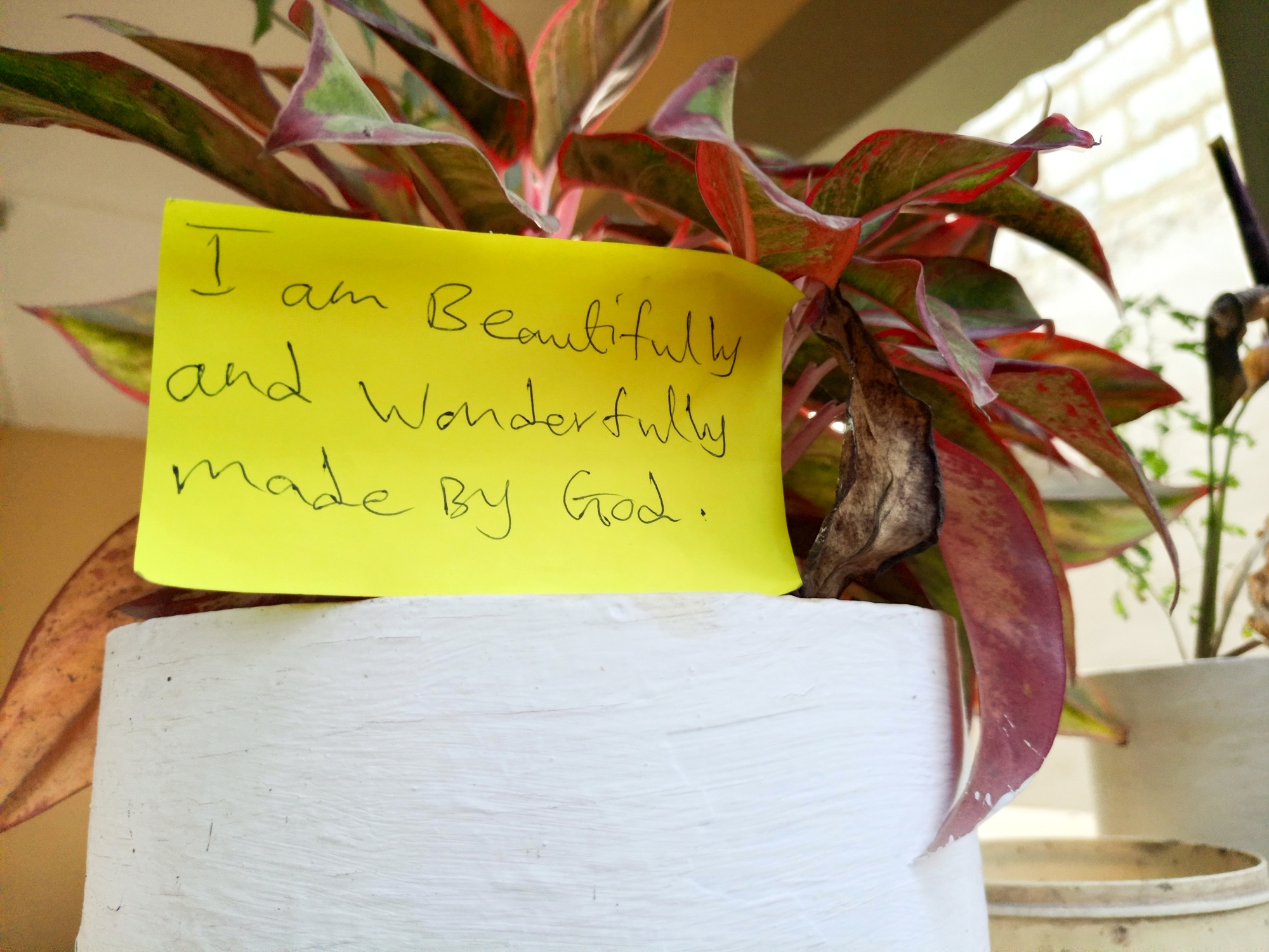 A note on yellow paper nestled amongst some red and green leaves reads: "I am beautifully and wonderfully made by God"