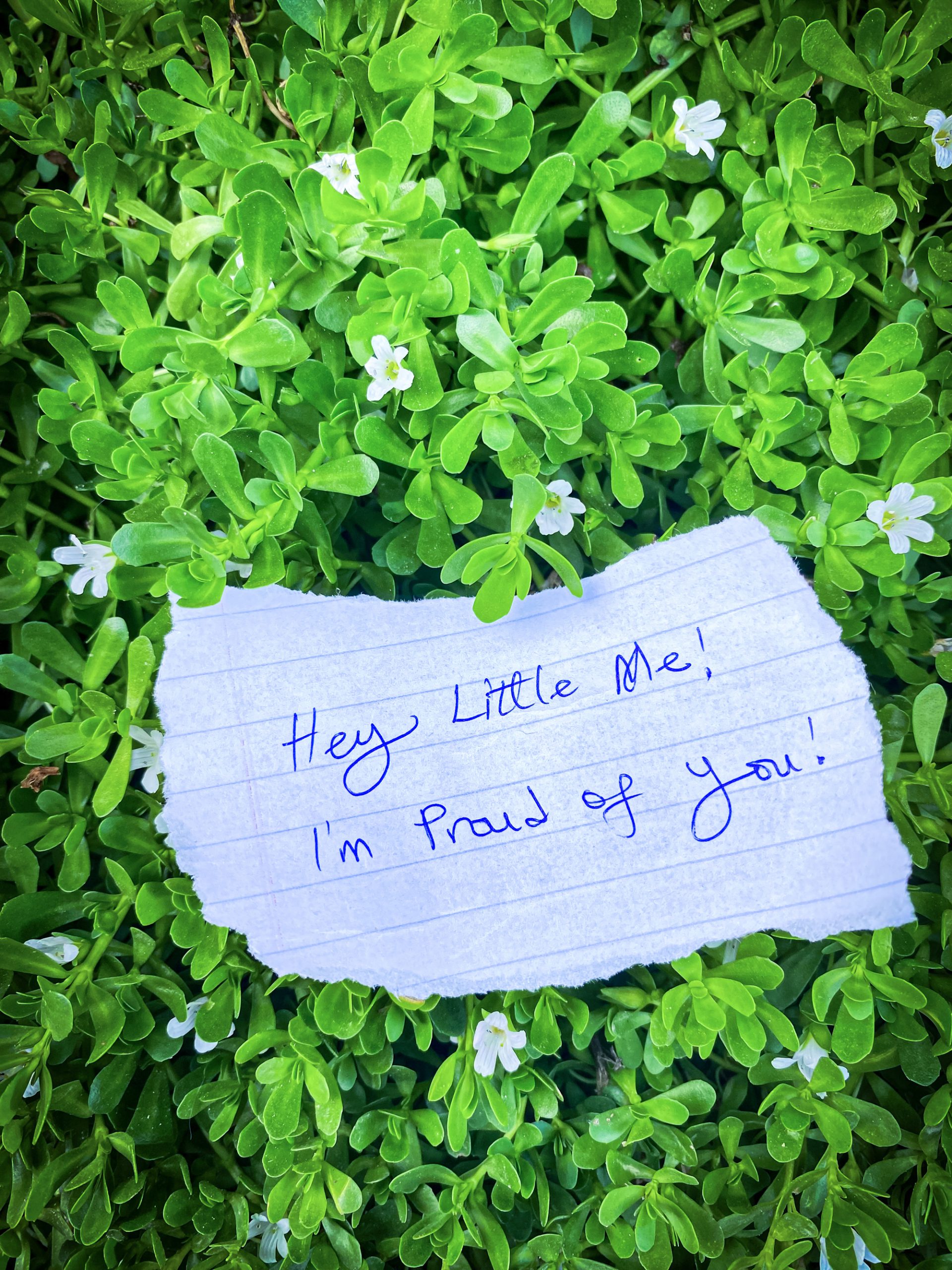 A handwritten note on a torned lined piece of paper resting on a bed of green plants with small white flowers reads: Hey little me! I'm proud of you!