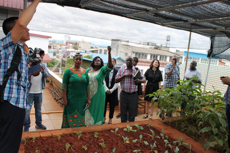 <p>African delegation visit the roof garden in ACC&rsquo;s community-based treatment centre</p>